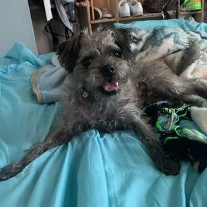 Meet your Posher, Barbara